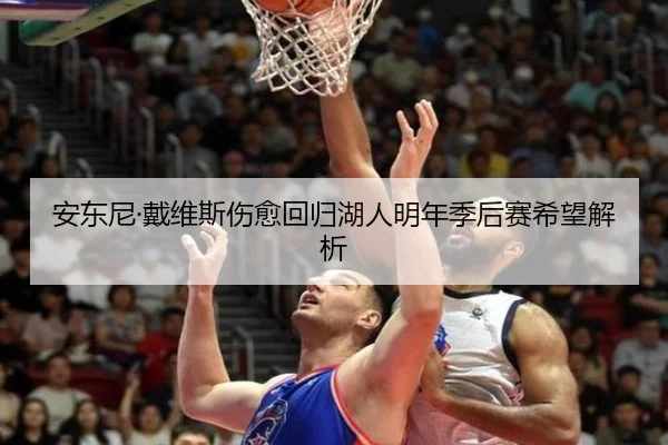 安东尼·戴维斯伤愈回归湖人明年季后赛希望解析